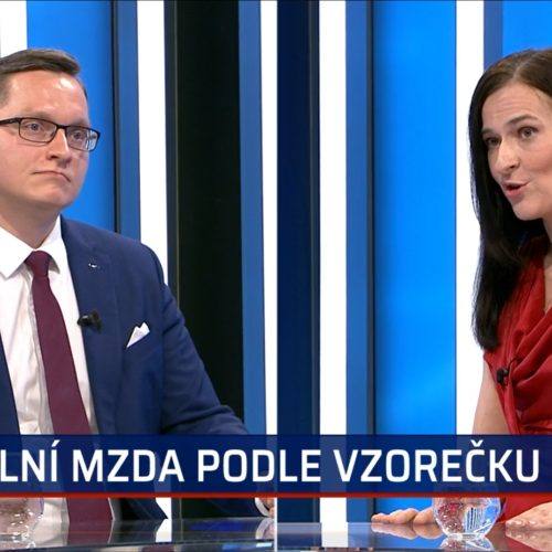 České zemědělství se hroutí i kvůli dotacím, opáčila Šichtařová